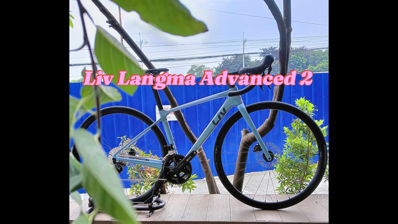 2025 Liv Langma Advanced 2 xxs ( Haze Color ) -  Shimano 105 Components