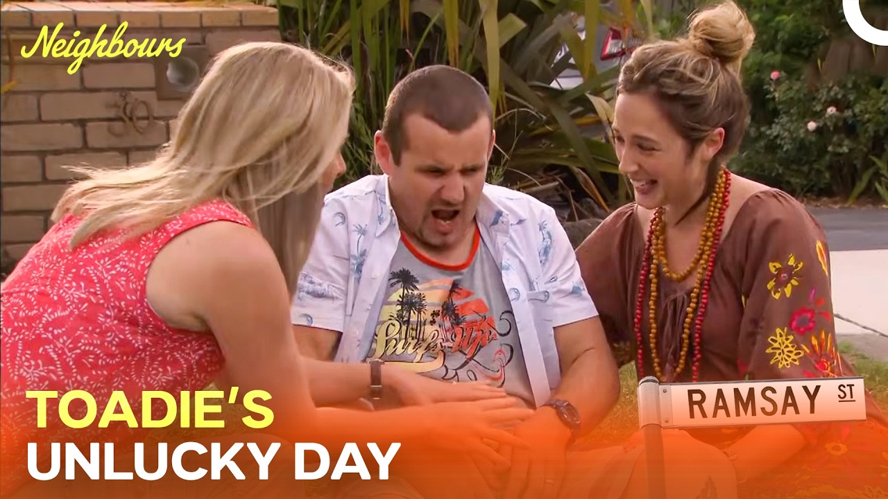 When Street Cricket Goes Horribly Wrong... | Neighbours