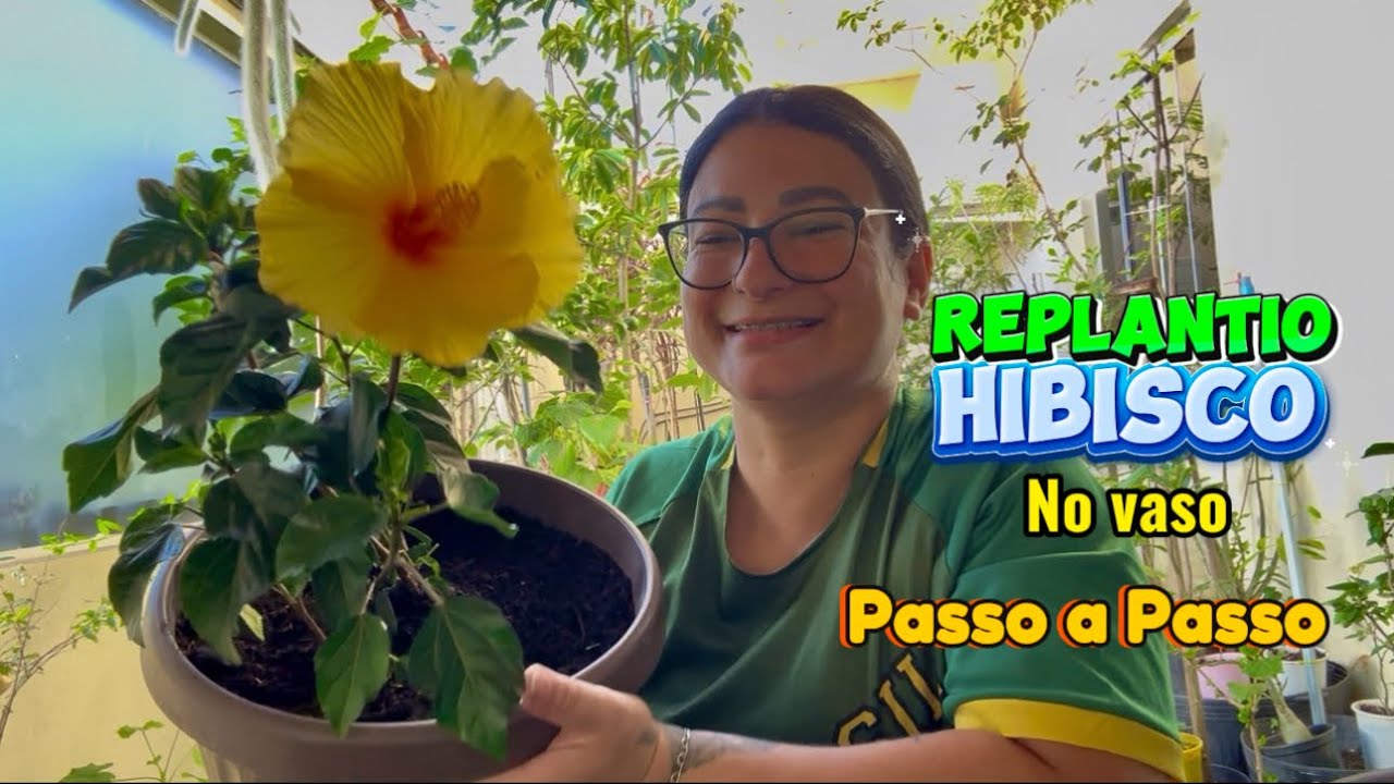 Replantio da Flor de Hibisco no Vaso | Dicas e Passo a Passo Fácil 🌼#jardim #youtubevideo 💚