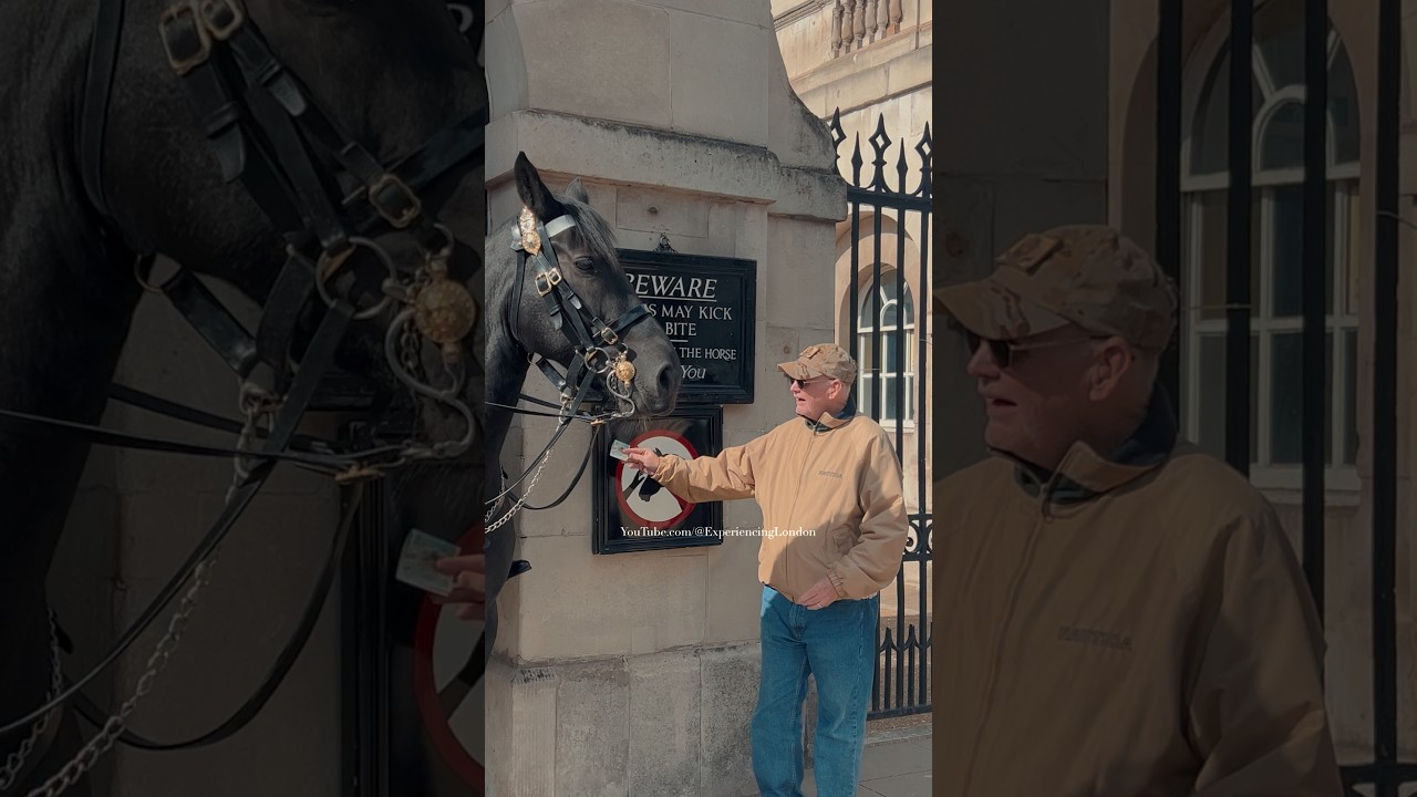 MAN PUTS MONEY IN KING&rsquo;S GUARDS&rsquo;S BOOTS💂&zwj;♂️🐎🗡️ | Horse Guards, Royal guard, Kings Guard, Horse