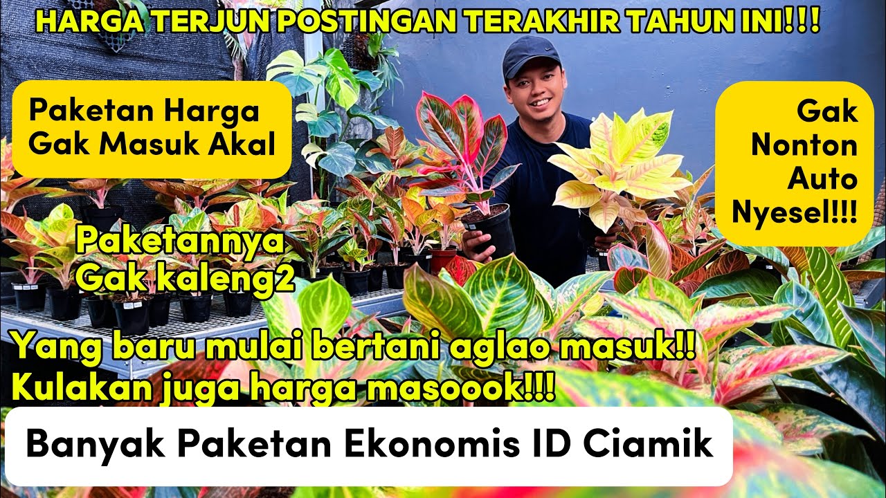 [Jualan Eps 005] Banyak Paketan Harga Ambruk!!!