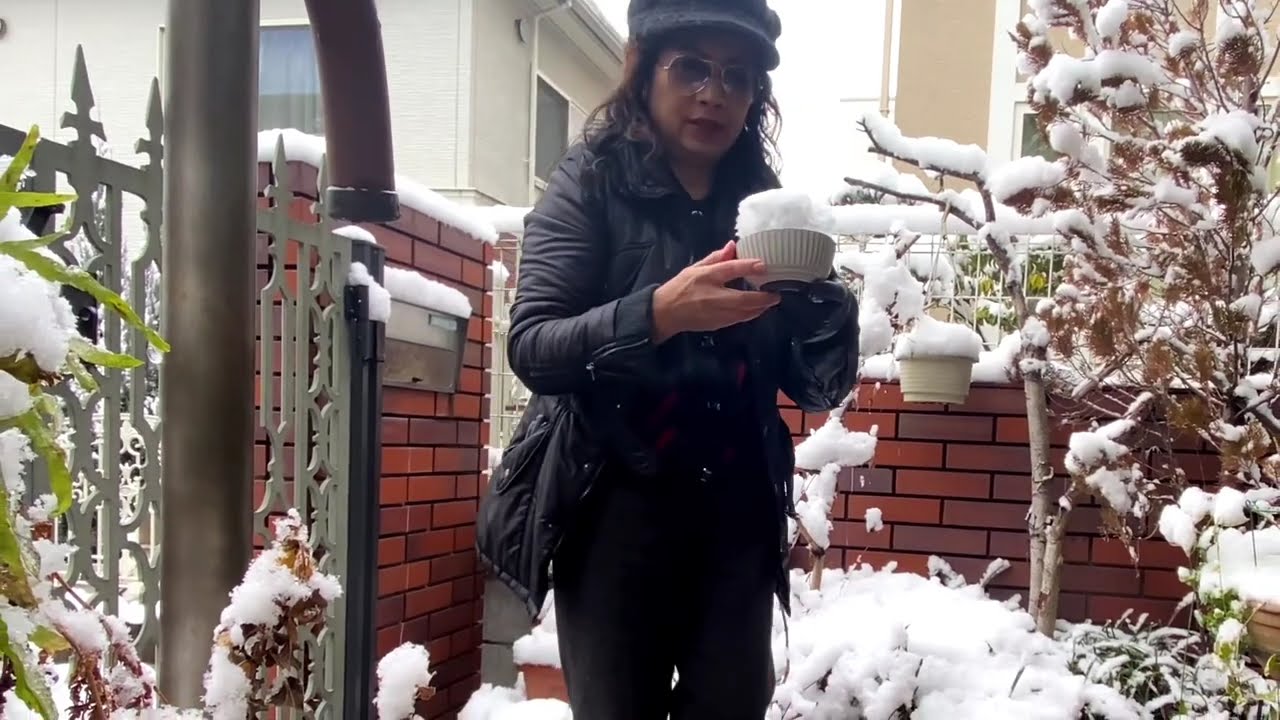 The Snowfall in Japan and  Making Icemilk Using the Snow.