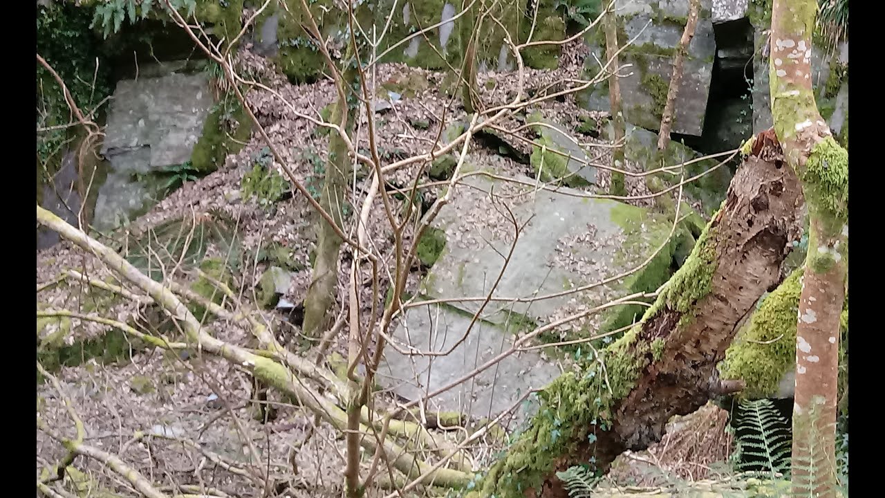 Death at the Quarry - Quarry Accidents in Cilgerran & Tegryn Pembrokeshire, Wales