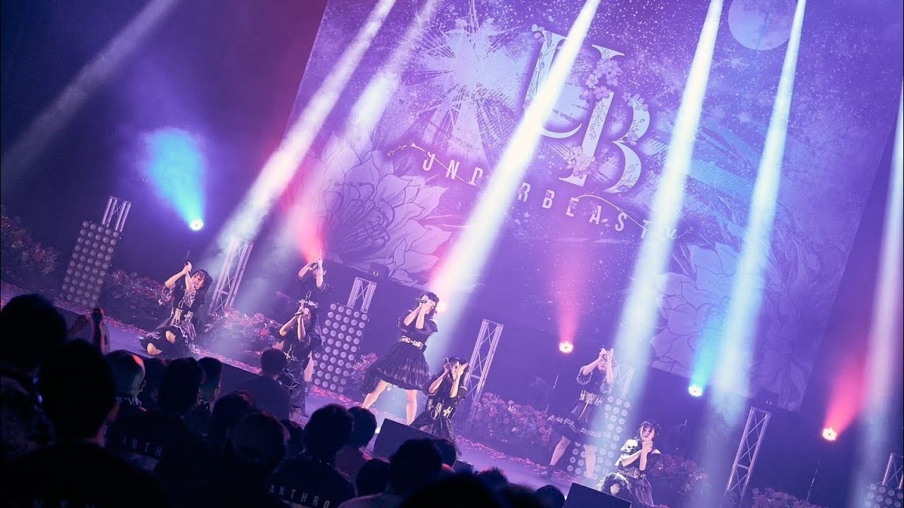 【LIVE】アンダービースティー - afterlife (Official Live Video)at 東京国際フォーラム