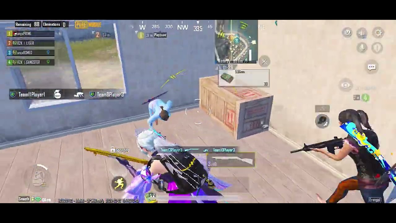 Clips