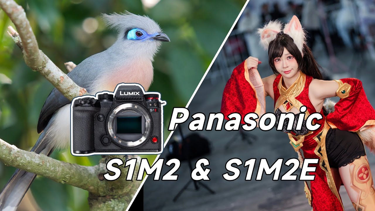 Panasonic S1M2拍鸟实战 & S1RM2和S1M2E如何选