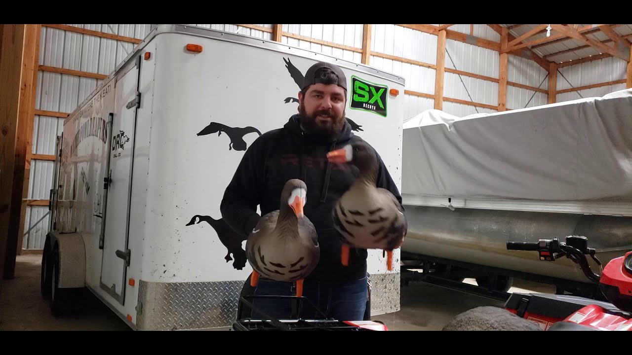 SX decoy full body  Speckle belly