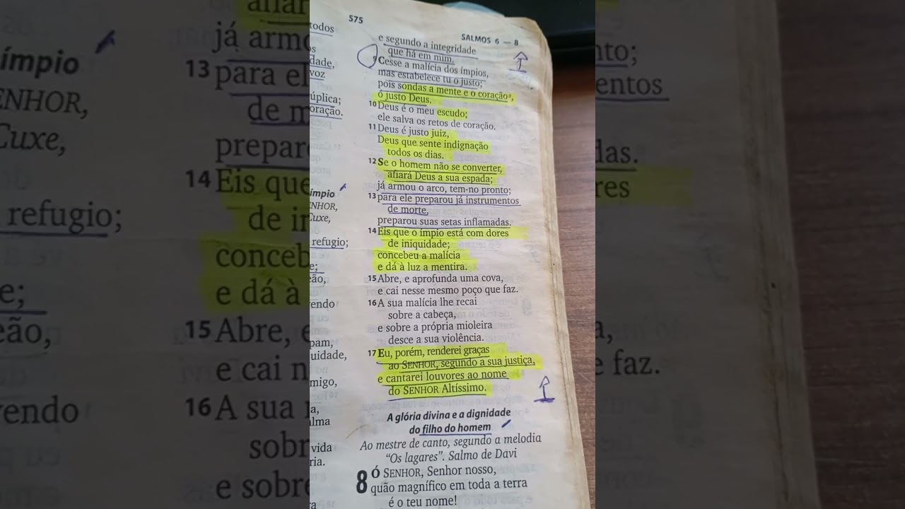 SALMOS 7 v9 ao v17 Cremos em Ti JESUSJosé Carlos,Juliana, Arthur
