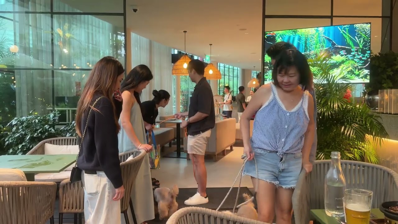 Sanctuary TeaRoom at Amara Sanctuary Sentosa (Dog friendly)