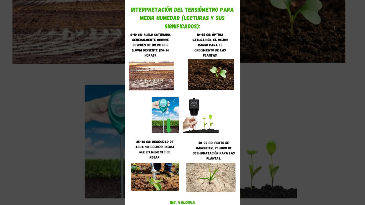 Interpretación del tensiometro para medir humedad (lectura y su significado) 🧑‍🌾🌱
