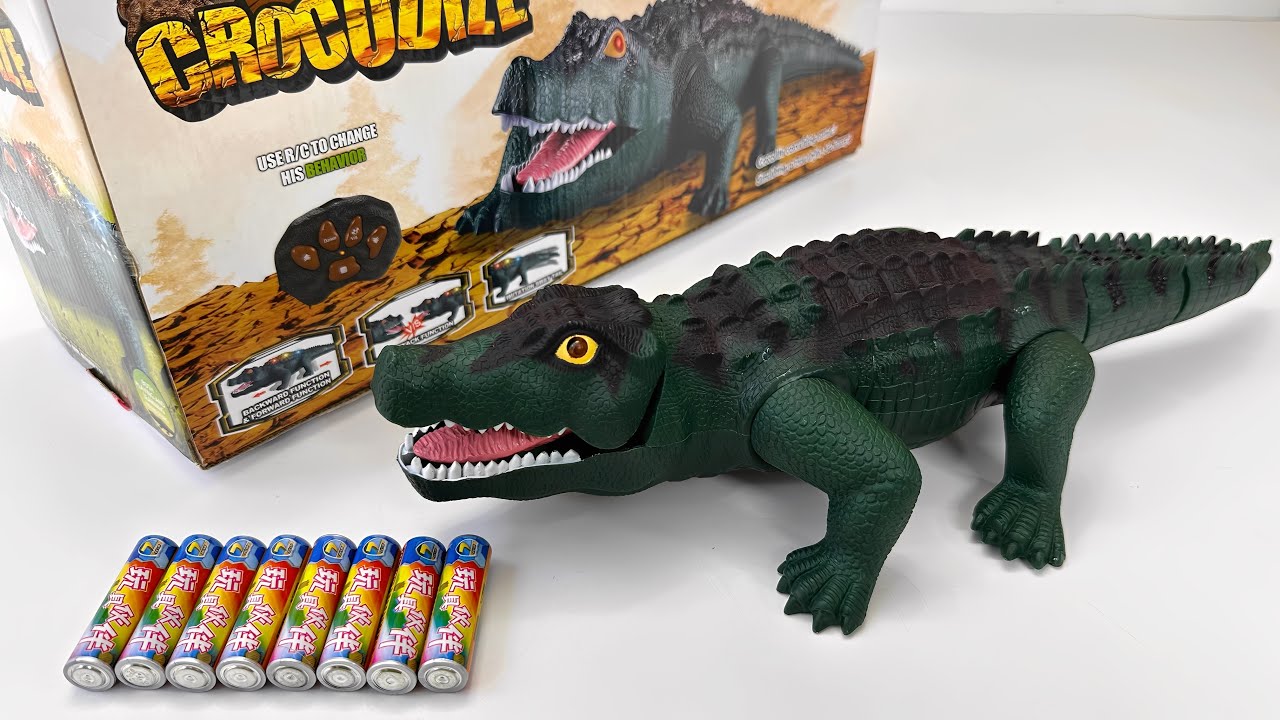 Unboxing Electric Spray Rocket｜Dance Squirrel, Remote Control City Bus, Remote Control Crocodile