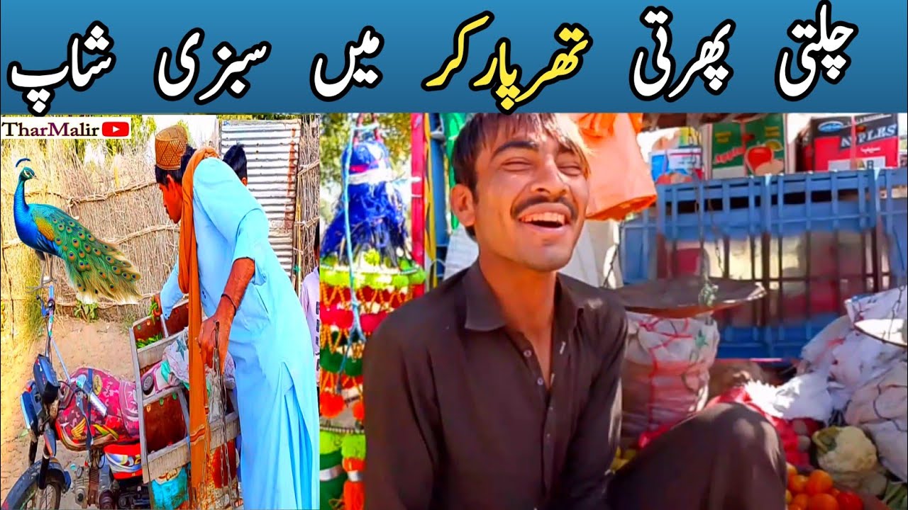 Vegetable Shop In Tharparkar On The Move|How Do Traders Sell Vegetables In The Villges| TharMalir 