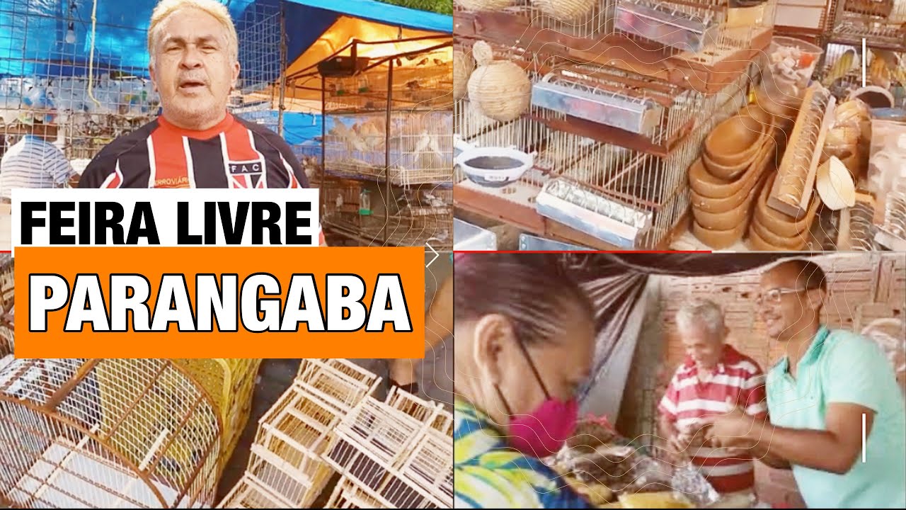 Pássaros e gaiolas na feira da parangaba Fortaleza - CE