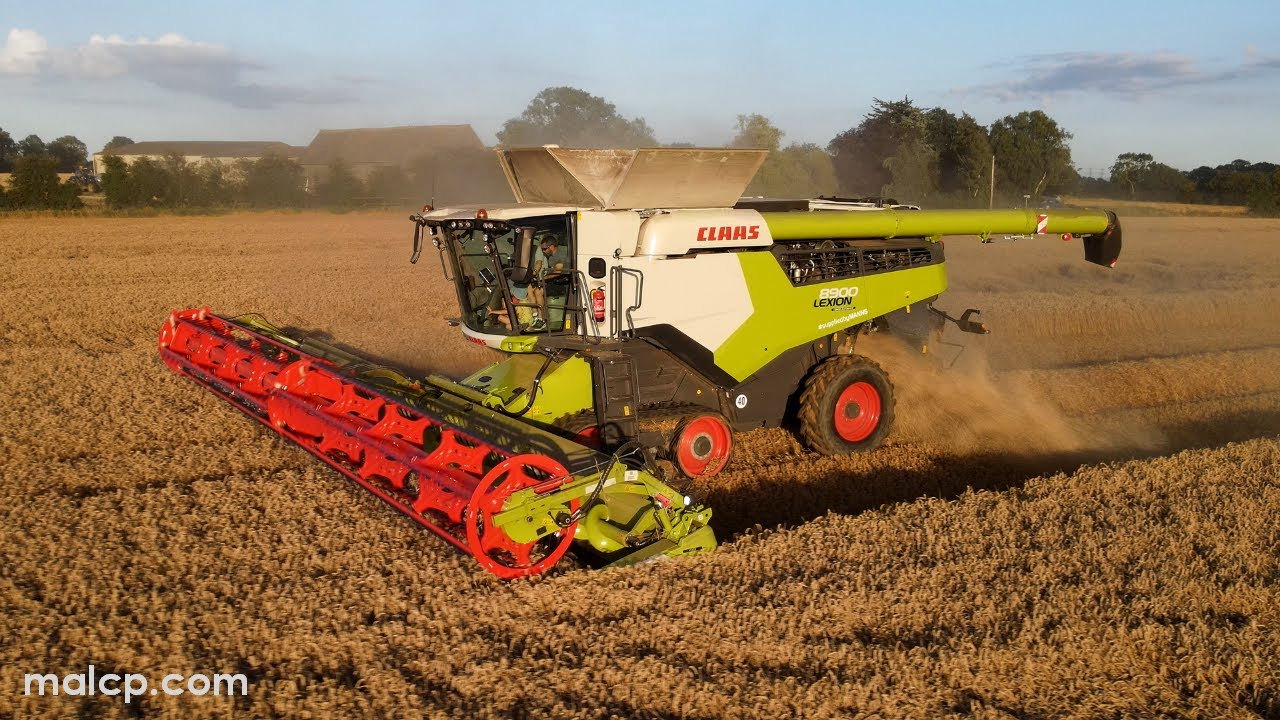 4Kᵁᴴᴰ Harvest 2023: Claas Lexion 8900 TT with Convio 1230 Flex header on demo from Manns UK