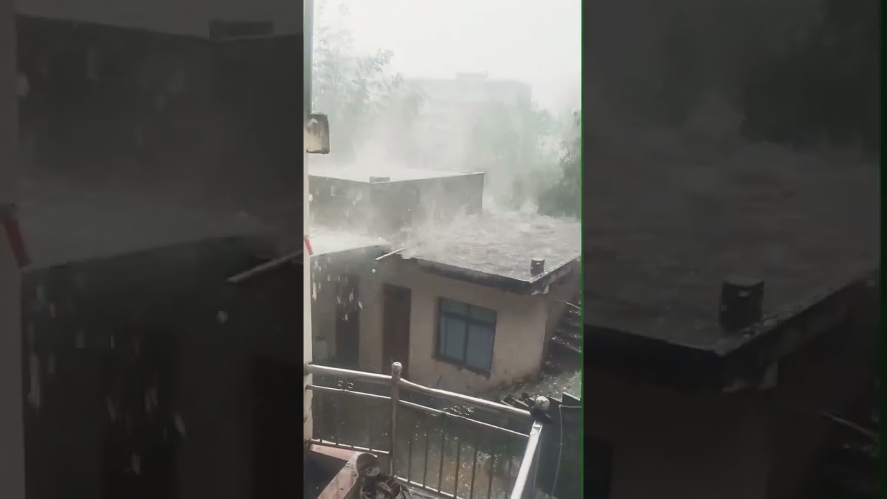 Aaj Bahut Tej Barish Ke Sath Ole Gire Chhattisagar #shorts #video #cg #barish #trending