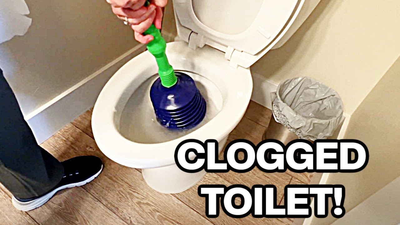 I tried the WEIRD Toilet Plunger on TikTok