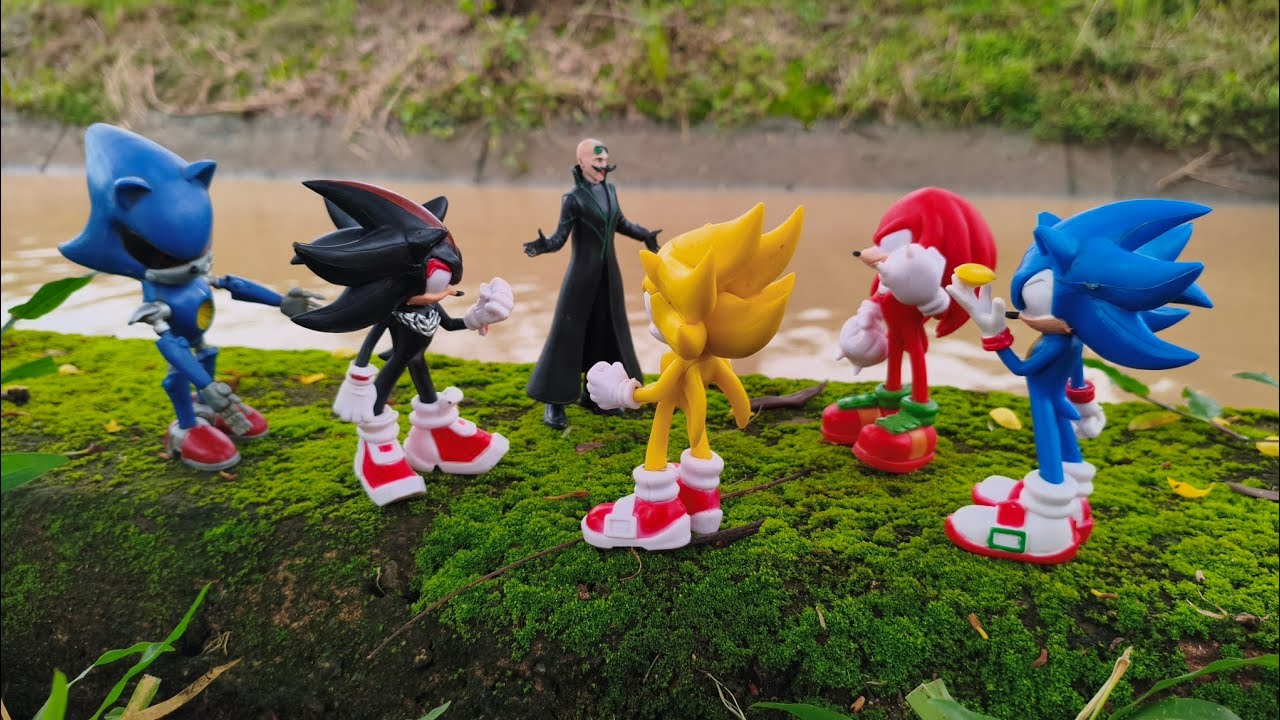 Hunting Sonic The Hedgehog:Sonic/Knuckles/Silver/Shadow/Metal Sonic/Tails/Amy Rose/Egg Man/Robotnic
