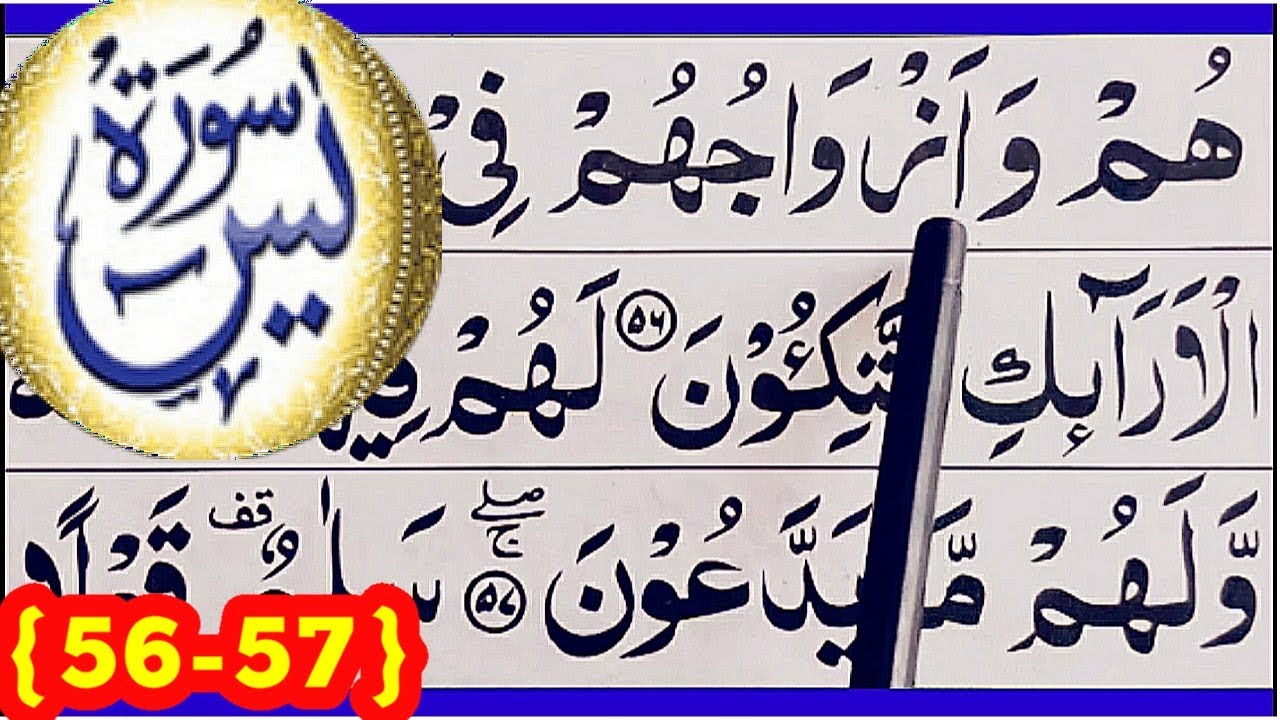 SURAH AL Yaseen||Ayat{55-57}beautiful Teaching style ||surah Al yasin Spelling word by word Surah||