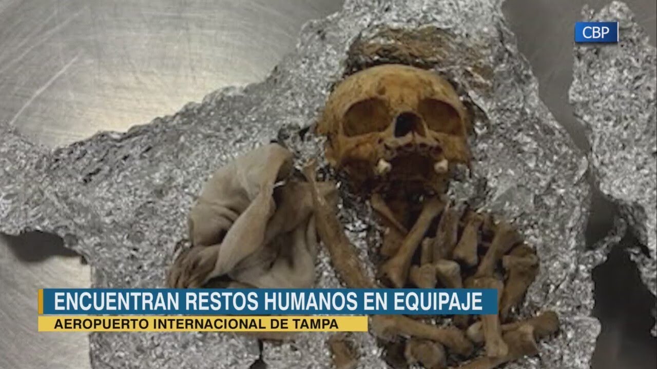 Encuentran restos humanos en equipaje de mano en el Aeropuerto de Tampa