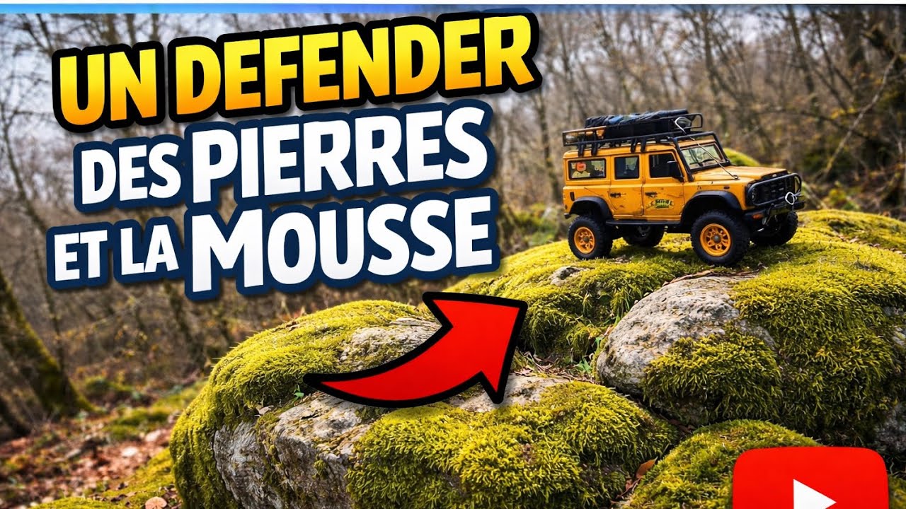 Un defender , des pierres et de la mousse…