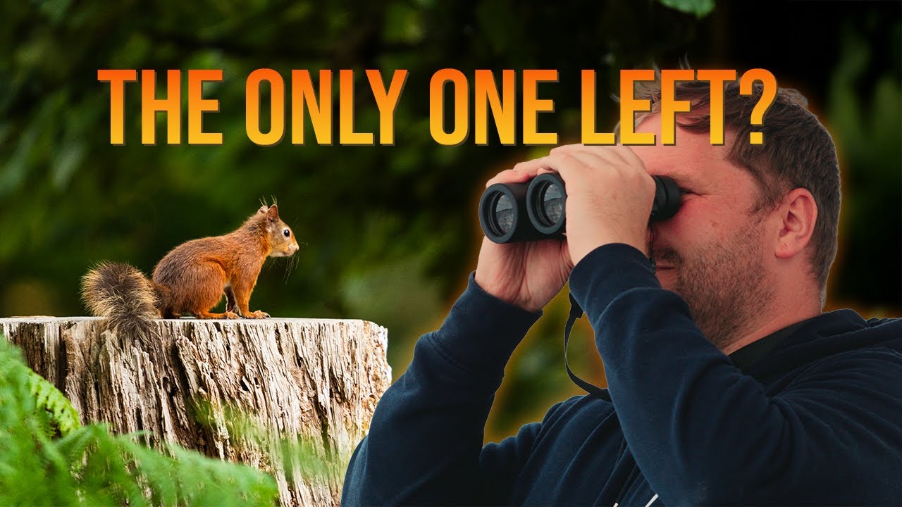Wildlife photography on Brownsea Island was not what I was expecting