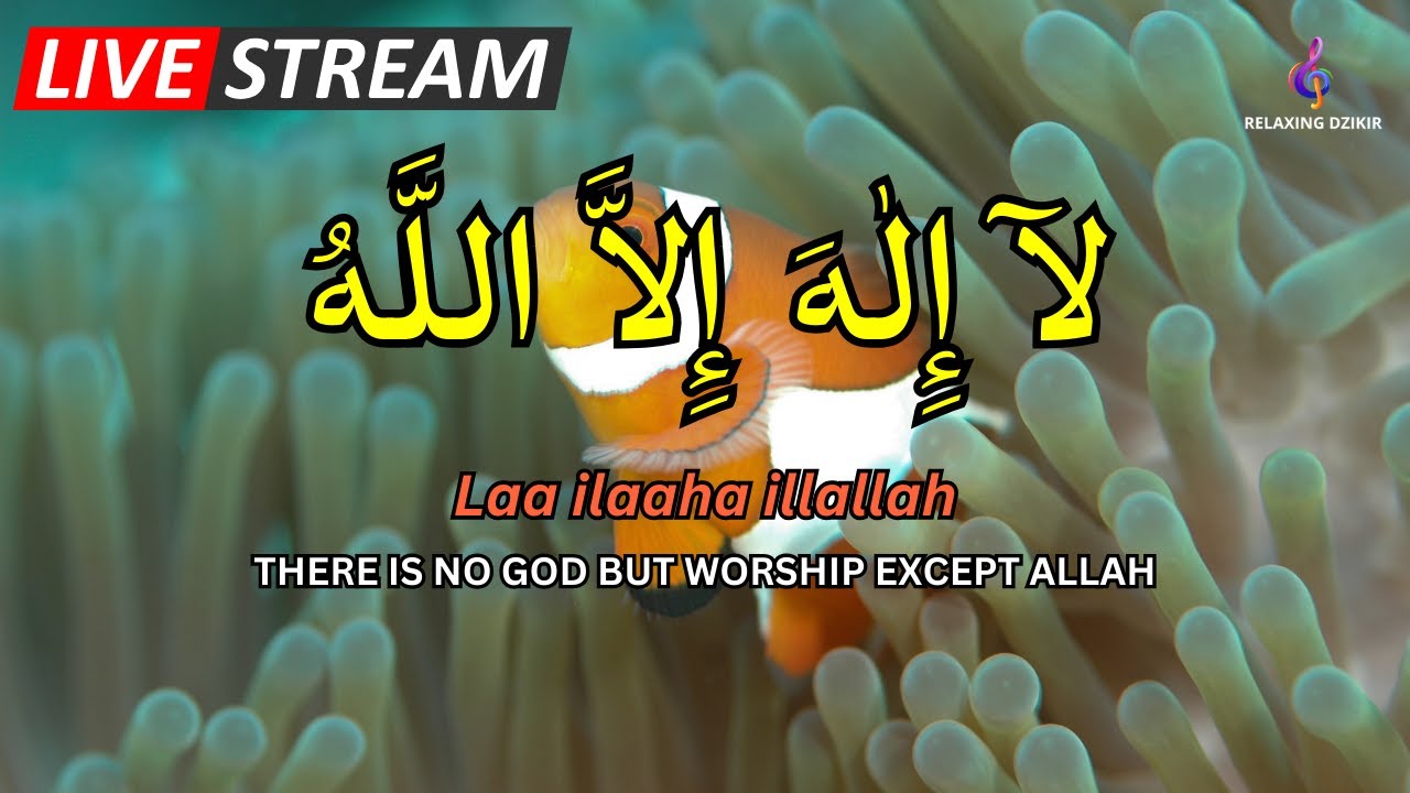 LAILAHAILLALLAH: Sleep Dzikir For Reduce stress #14