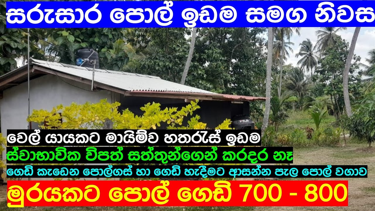 Coconut Land With House For Sale Sri Lanka cheapest land | aduwata gewal | aduwata idam | Idam Kadam