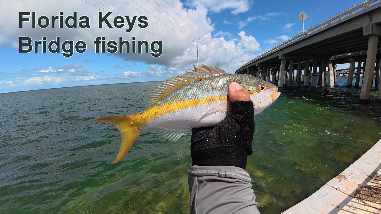 Catch & Cook lunch in Florida keys.