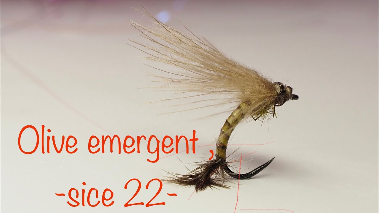 Moscas para la pesca, emergente oliva , U 22. Flytying