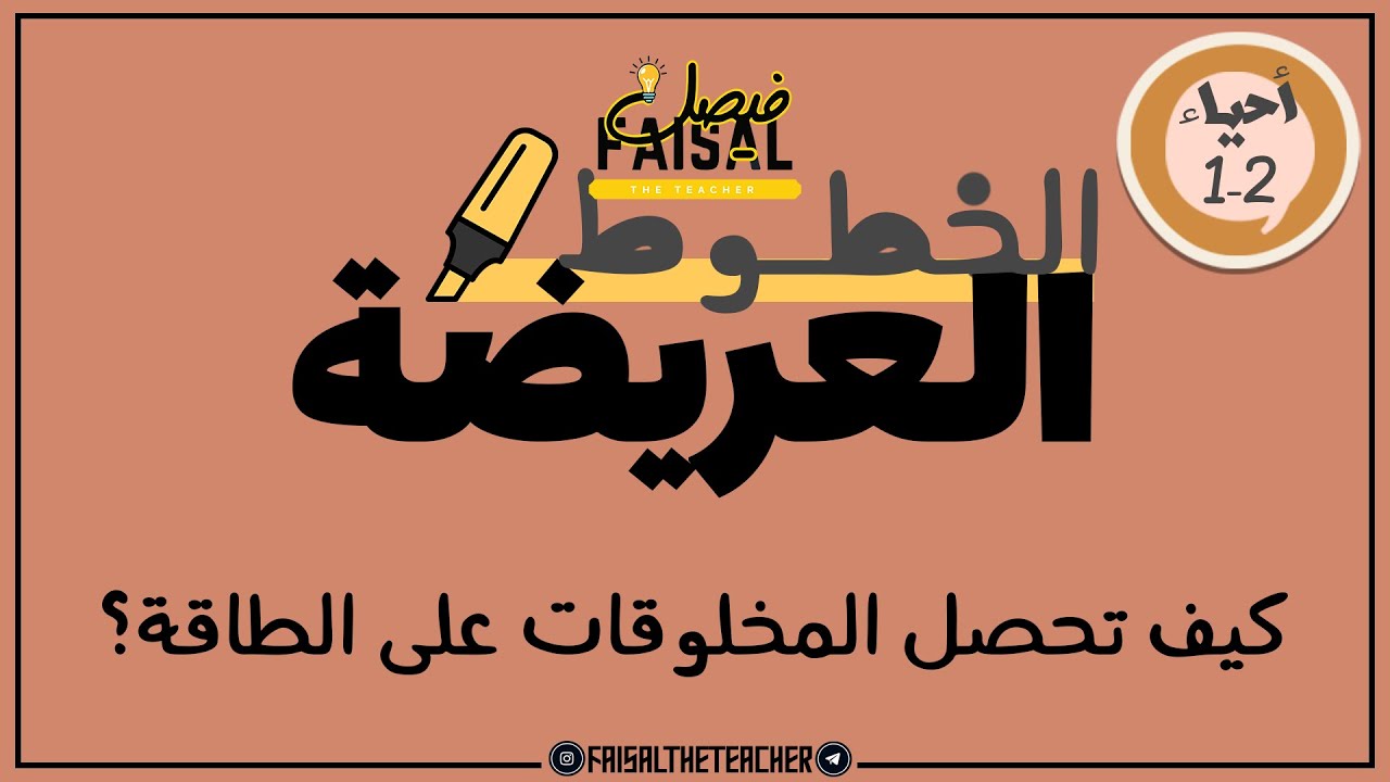 الخطوط العريضة - أحياء 2-1 - كيف تحصل المخلوقات الحية على الطاقة؟