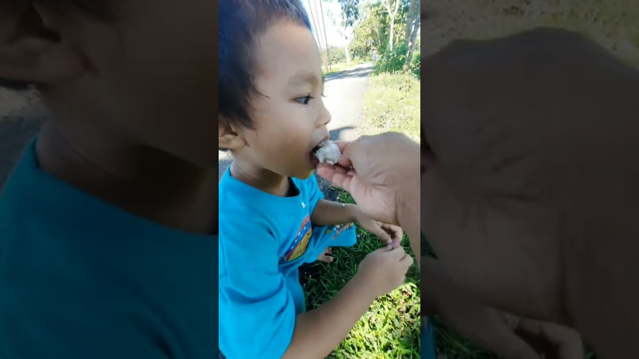 MasyaAllah Tabarakallah Pagi Yang Cerah Bocil Sarapan Sama Lele Makan Jadi Lahap