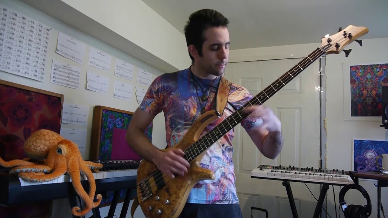 ElectroChemical - The Ovulating Federal Panda Syndicate (Bass Playthrough)