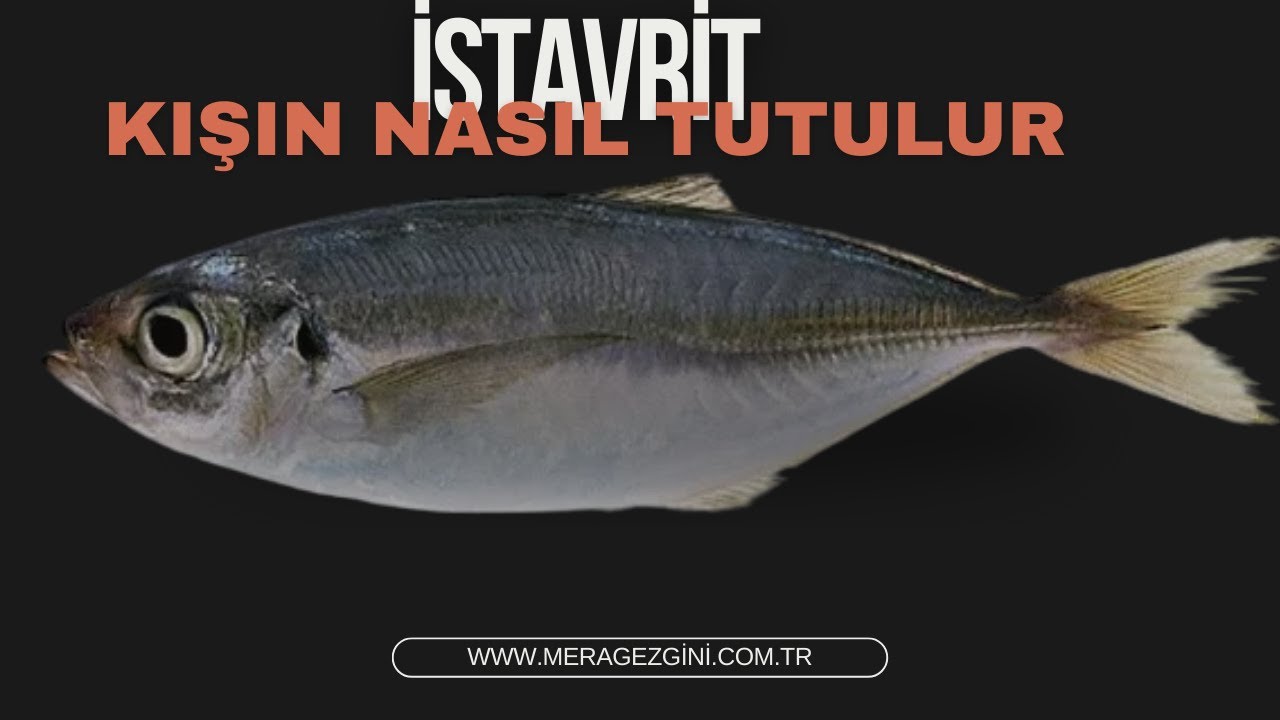 HER ATIŞ BALIK !!! KIŞIN ORTASINDA BÖYLE BALIK BOLLUĞU NASIL OLDU !!!