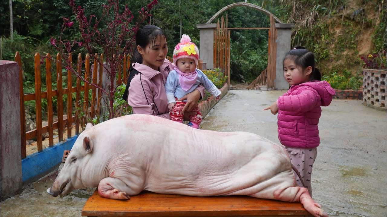 The journey of building a farm - In a short period of time, this single mother built an amazing farm