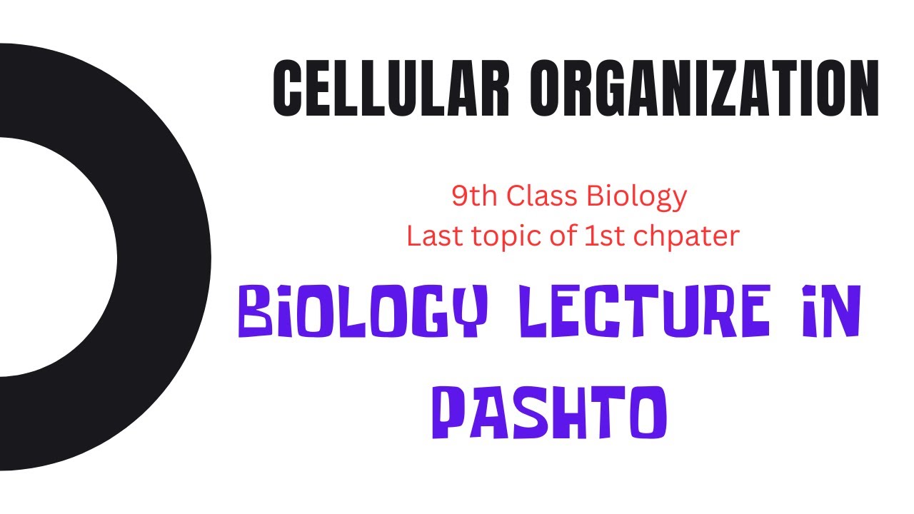Cellular Organization In Biology | Chapter 1 last Topic | Biology in Pashto | Basharat Ali Lectures