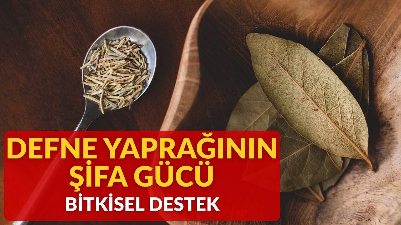 Defne Yaprağı Neden Bu Kadar Şifalı? 🌿 Kimsenin Bilmediği Etkiler