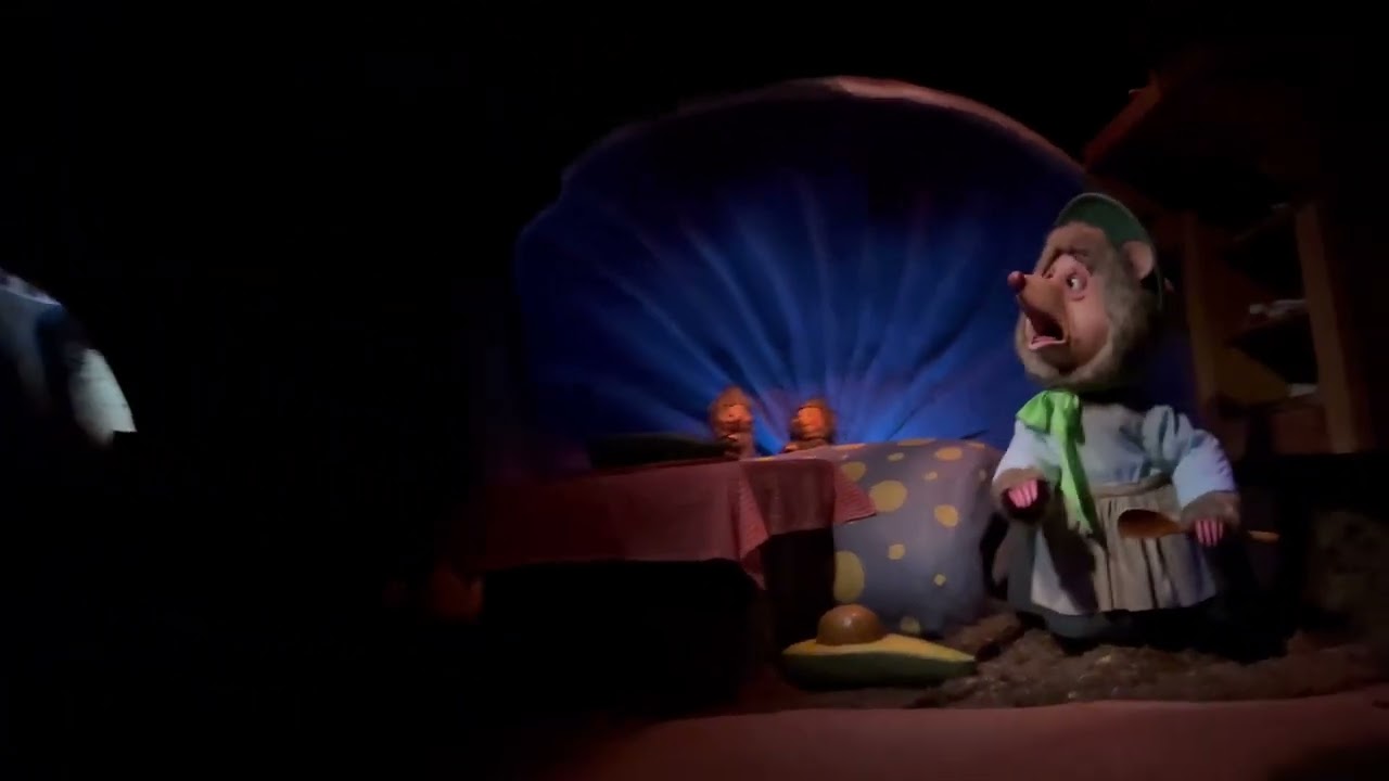 Cast Member’s Last Ride on Splash Mountain