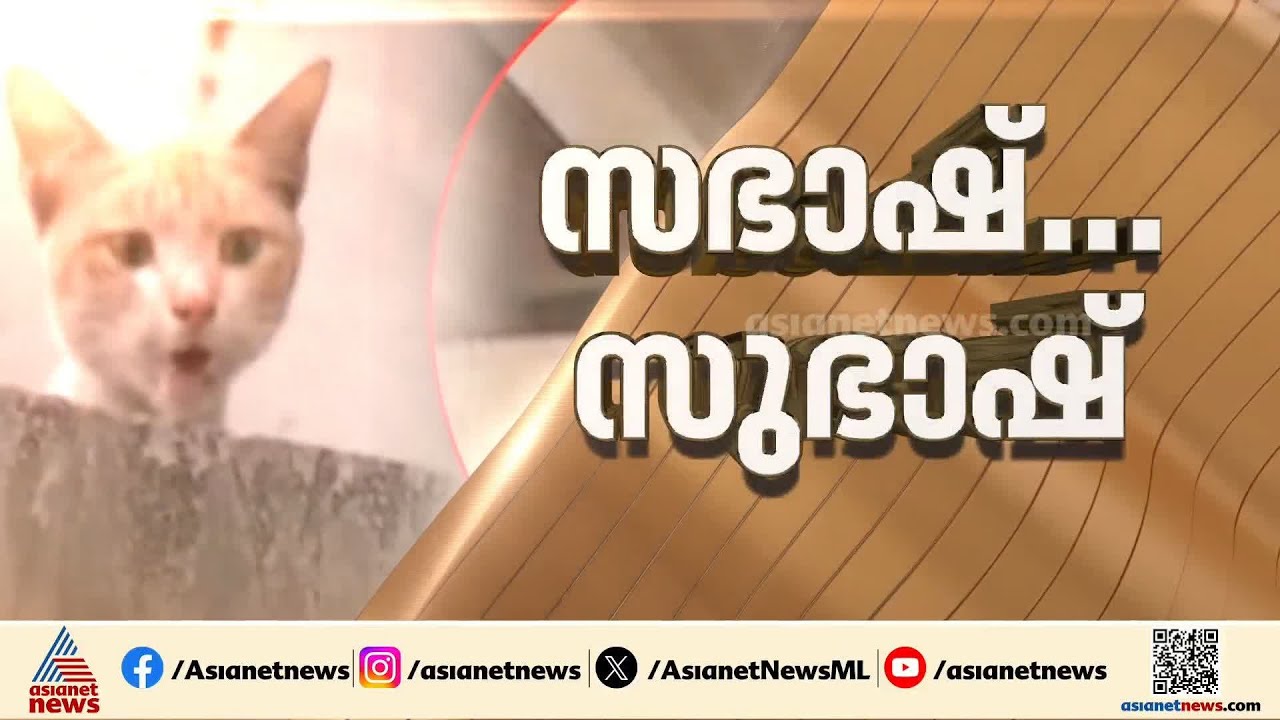 'മിണ്ടാപ്രാണിയല്ലേ സാറേ...'; മെട്രോ തൂണിൽ കുടുങ്ങിയ പൂച്ചയെ താഴെയിറക്കി