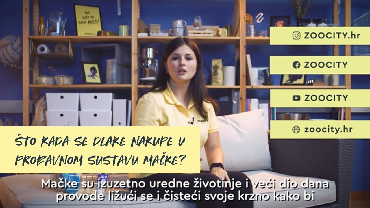 Dlake u probavnom sustavu mačke? Saznaj &scaron;to napraviti...VLOG veterinarke Maje Črnjević