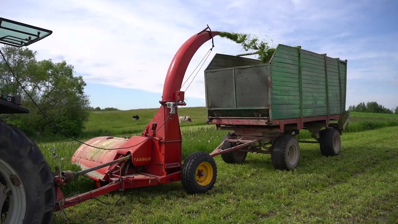 Sławek koszenie zielonki - TAARUP 501