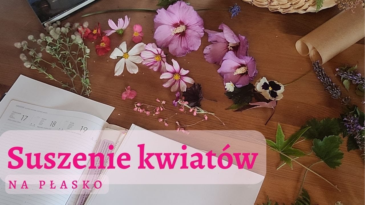 Jak suszyć kwiaty? Prosta metoda suszenia na płasko