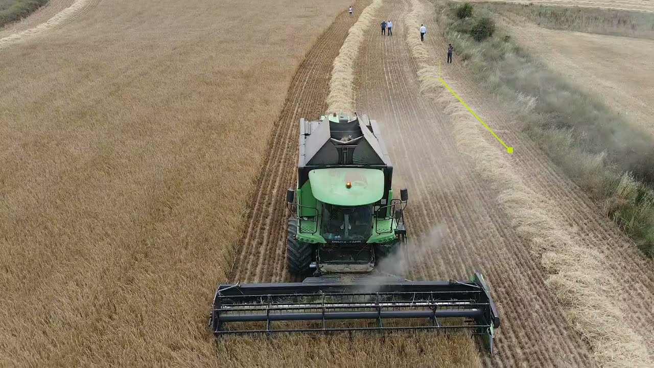De oogst van Spaans stro 2021 in beeld [DRONE] | Berg Agri