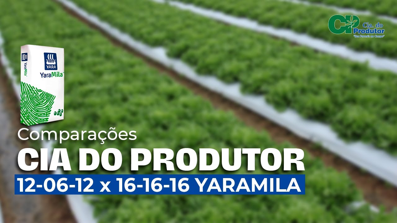 COMPARAÇÃO ADUBAÇÃO 12-06-12 X 16-16-16 YARAMILA NA COUVE FLOR
