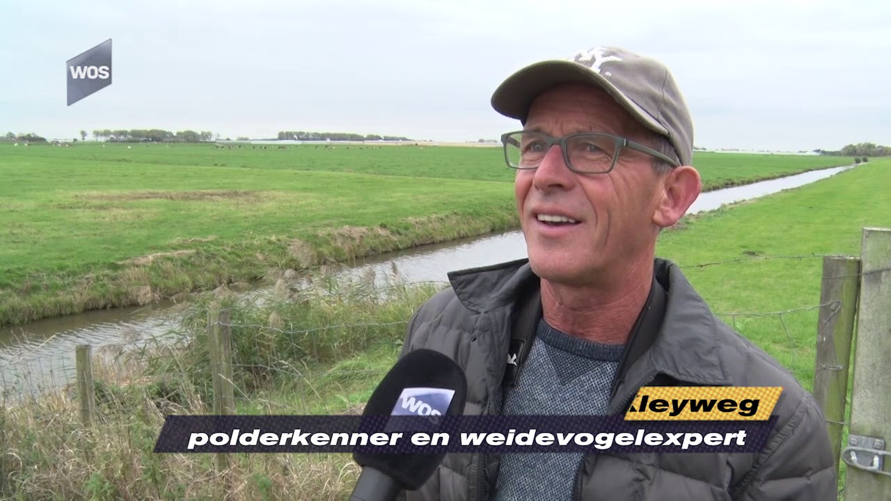 Afschieten Canadese ganzen mag doorgaan