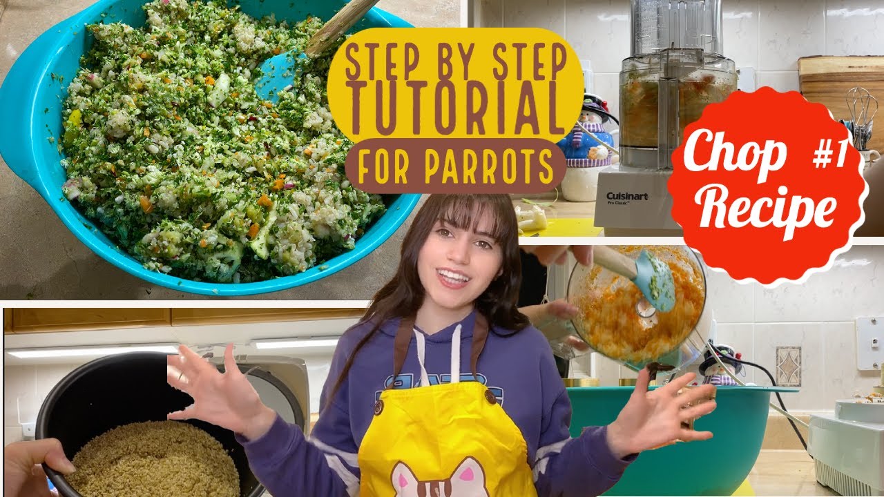 How To Make Chop For Your Parrot | My Recipe