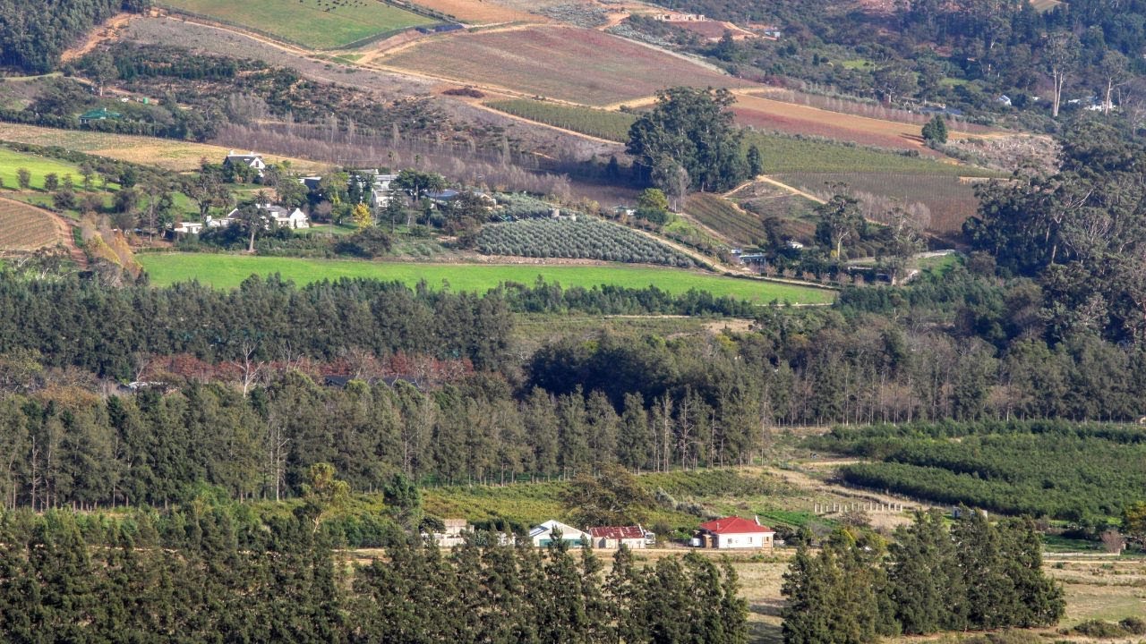 Banhoek Conservancy - A Solo Hike in June 2022