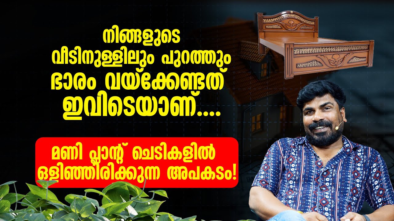 നിങ്ങളുടെ വീടിനുള്ളിലും പുറത്തും ഭാരം വയ്ക്കേണ്ടത് ഇവിടെയാണ്... | മണി പ്ലാന്റ് ചെടികളിലുള്ള അപകടം !