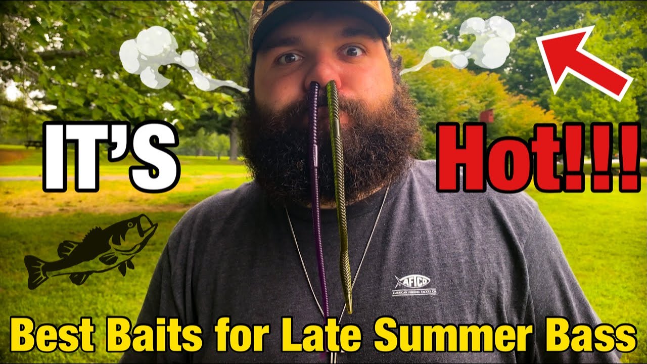 Best Baits for Late Summer Bass|7 Deadly Fins|