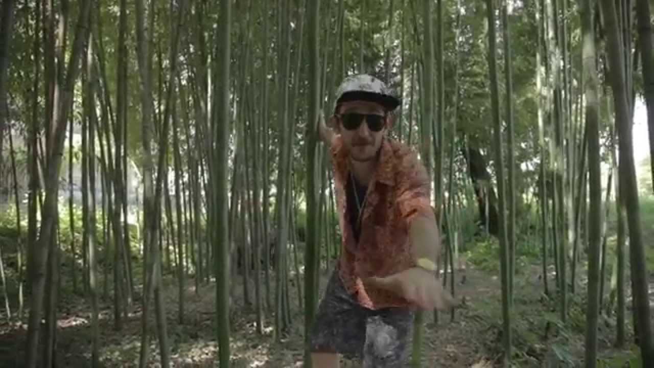 GAMBA THE LENK - FRESH