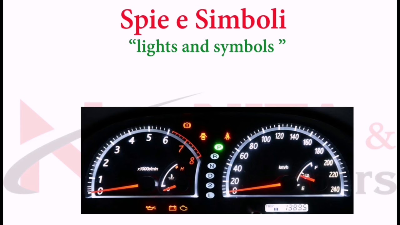 Spie e simboli in PUNJABI #patente_in_punjabi #nitaandbrothers
